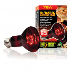 Інфрачервона лампа розжарювання Exo Terra «Infrared Basking Spot» 75 W, E27 (для обігріву)