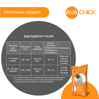 Комбікорм стартовий для качок та гусейAVA Chick BHS. Упаковка 25 кг. Комбікорм від виробника AVA GROUP Комбікорм стартовий для качок та гусейAVA Chick BHS. Упаковка 25 кг. Комбікорм від виробника AVA GROUP