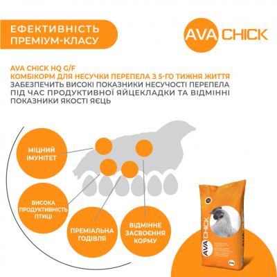 Комбікорм для перепелів AVA Chick HQ G/F. Упаковка 25 кг. Комбікорм від виробника AVA GROUP