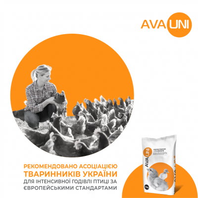 AVA UNI HF Комбікорм для курей несучок в продуктивний період